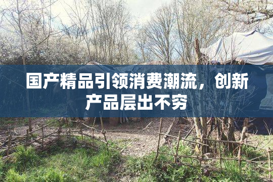 国产精品引领消费潮流，创新产品层出不穷