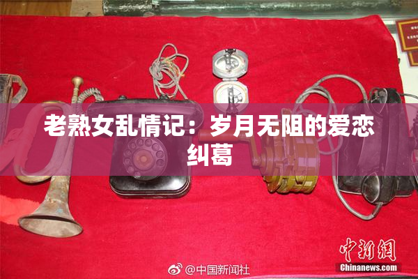 老熟女乱情记：岁月无阻的爱恋纠葛