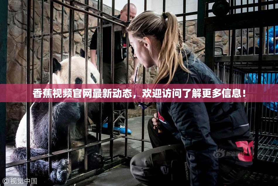 香蕉视频官网最新动态，欢迎访问了解更多信息！