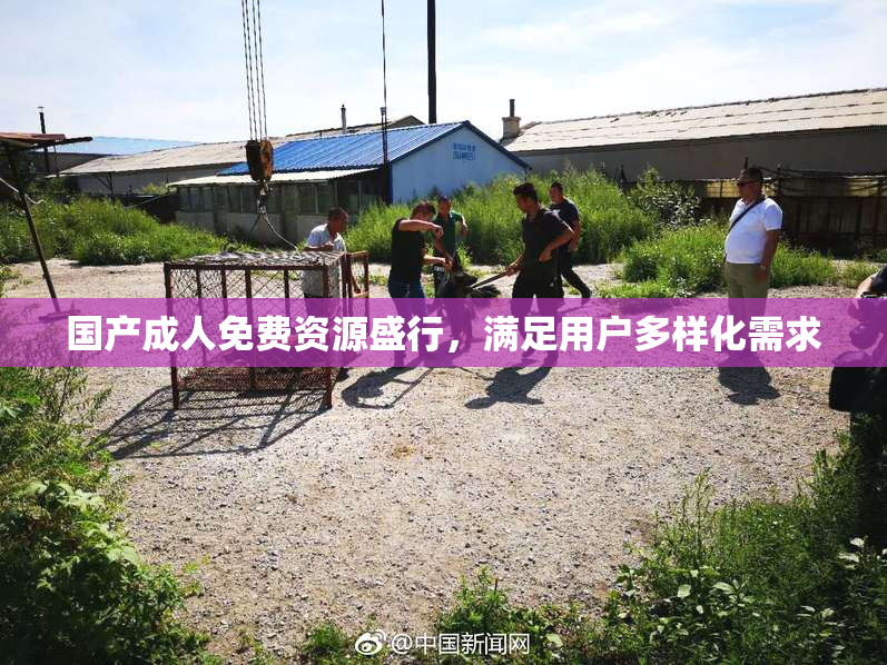 国产成人免费资源盛行，满足用户多样化需求
