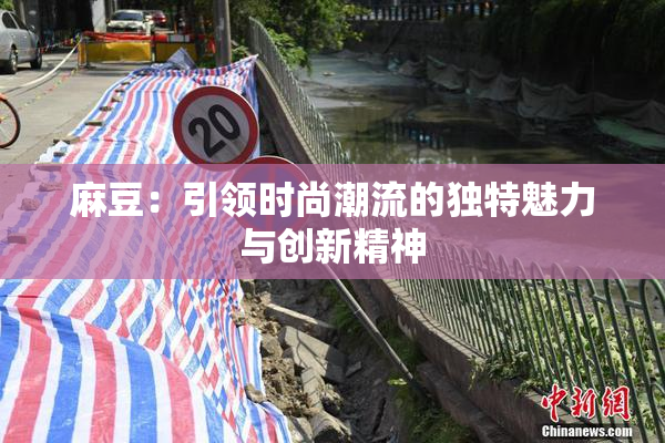 麻豆：引领时尚潮流的独特魅力与创新精神