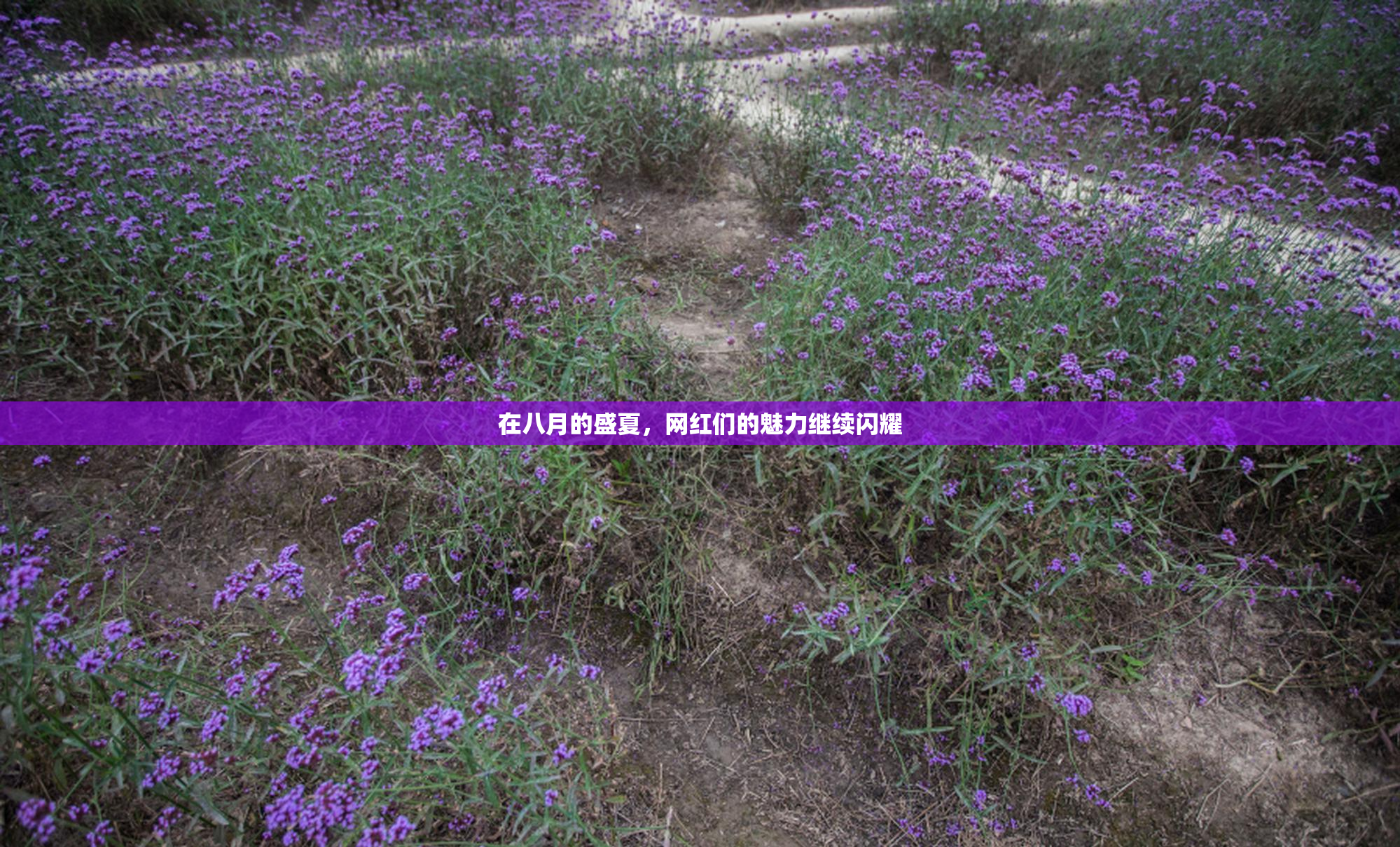 在八月的盛夏，网红们的魅力继续闪耀