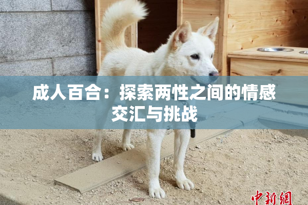 成人百合：探索两性之间的情感交汇与挑战