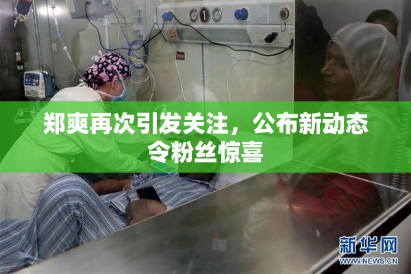 郑爽再次引发关注，公布新动态令粉丝惊喜