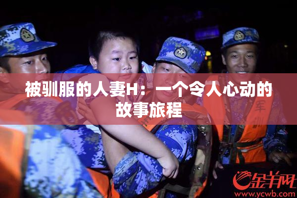 被驯服的人妻H：一个令人心动的故事旅程