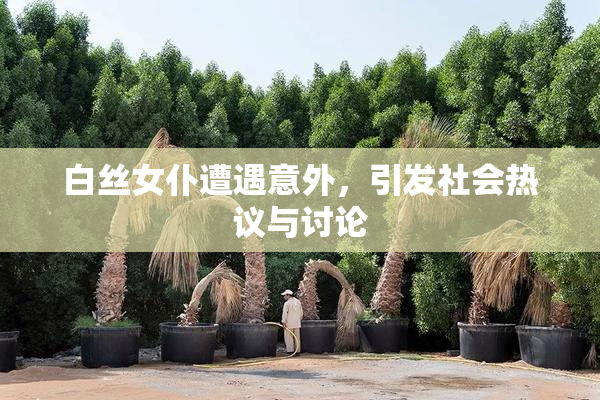 白丝女仆遭遇意外，引发社会热议与讨论
