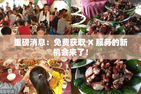 重磅消息：免费获取 X 服务的新机会来了！