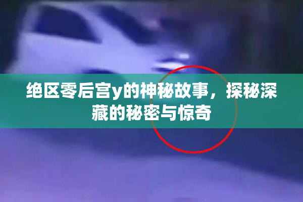 绝区零后宫y的神秘故事，探秘深藏的秘密与惊奇