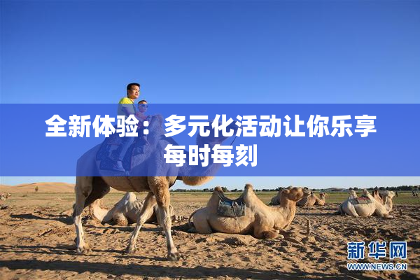 全新体验：多元化活动让你乐享每时每刻