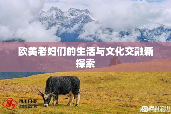 欧美老妇们的生活与文化交融新探索
