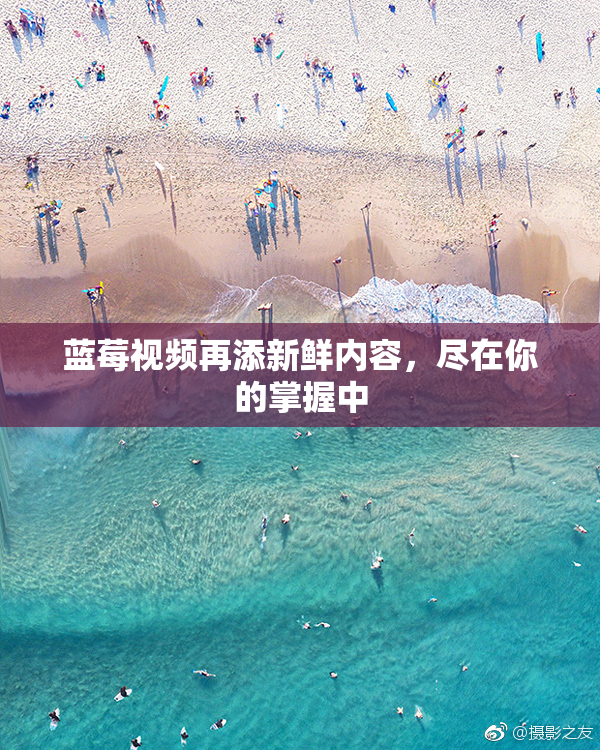 蓝莓视频再添新鲜内容，尽在你的掌握中