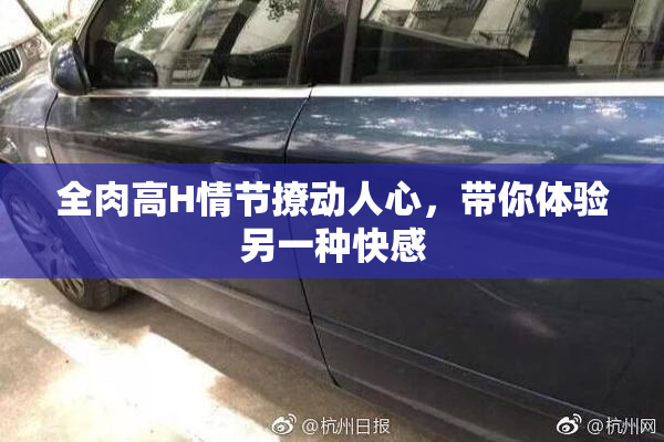 全肉高H情节撩动人心，带你体验另一种快感