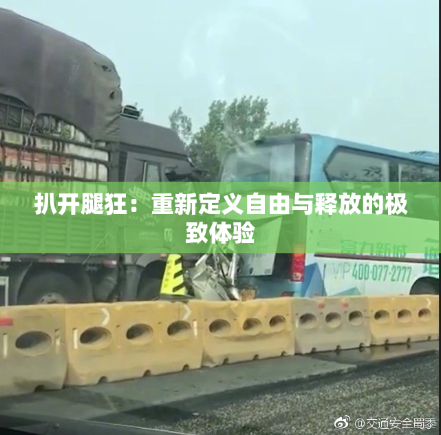 扒开腿狂：重新定义自由与释放的极致体验