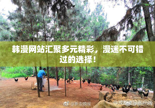 韩漫网站汇聚多元精彩，漫迷不可错过的选择！