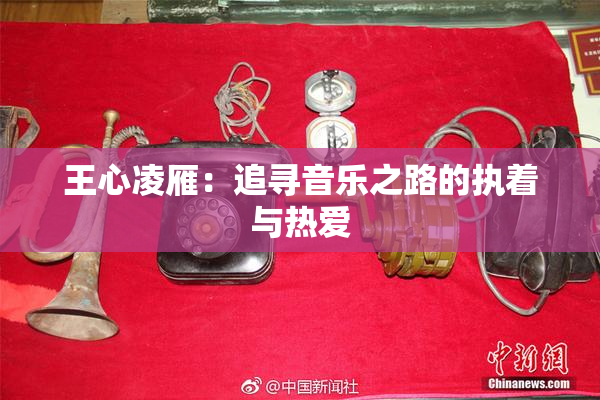 王心凌雁：追寻音乐之路的执着与热爱