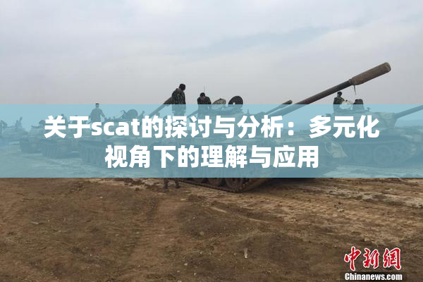 关于scat的探讨与分析：多元化视角下的理解与应用