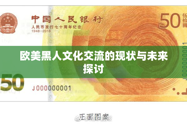 欧美黑人文化交流的现状与未来探讨