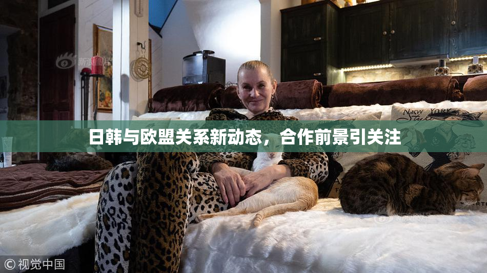 日韩与欧盟关系新动态，合作前景引关注