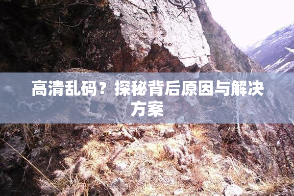 高清乱码？探秘背后原因与解决方案