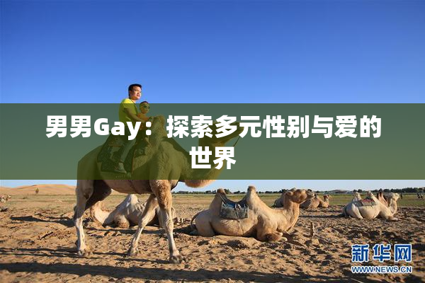 男男Gay：探索多元性别与爱的世界