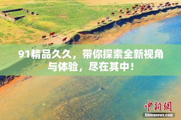 91精品久久，带你探索全新视角与体验，尽在其中！