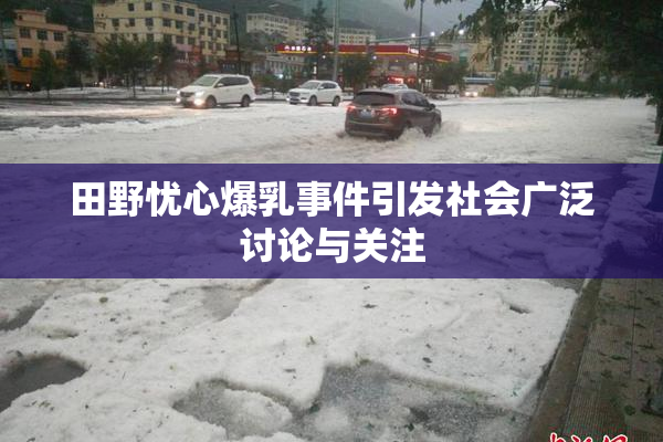 田野忧心爆乳事件引发社会广泛讨论与关注