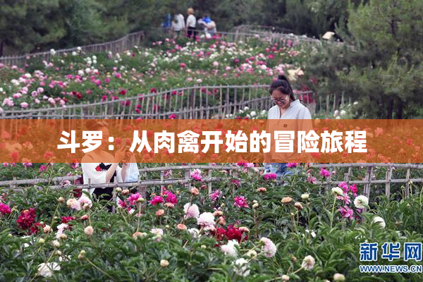 斗罗：从肉禽开始的冒险旅程