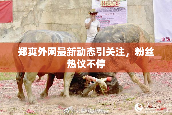 郑爽外网最新动态引关注，粉丝热议不停