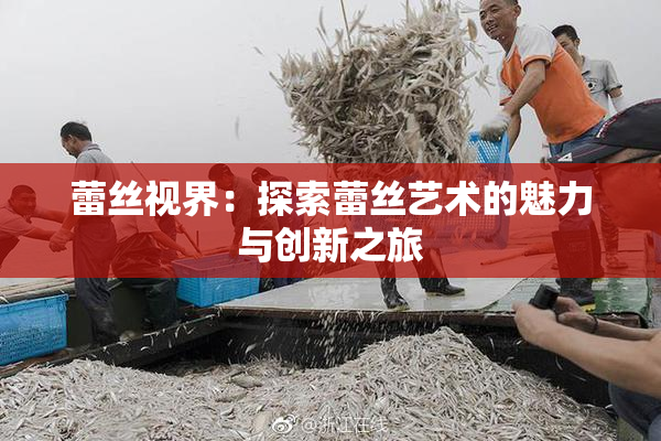 蕾丝视界：探索蕾丝艺术的魅力与创新之旅