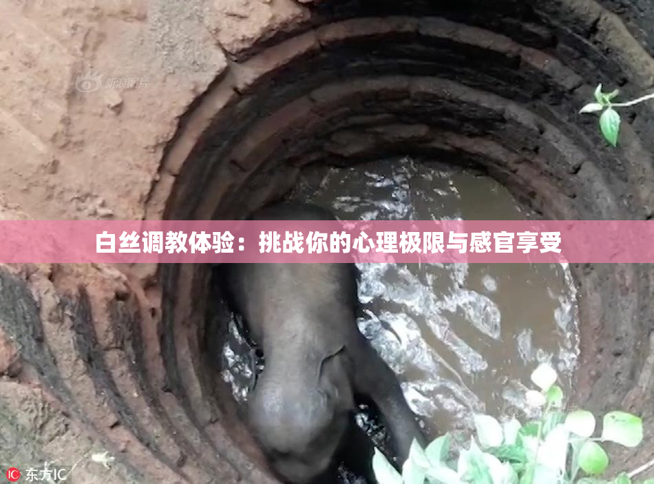 白丝调教体验：挑战你的心理极限与感官享受