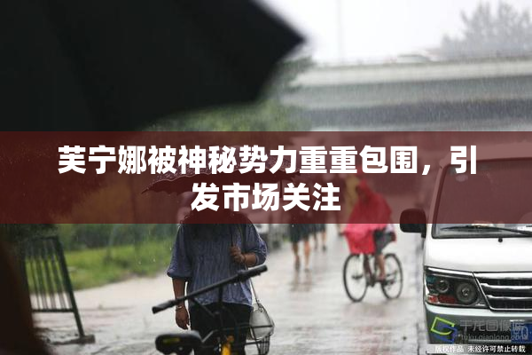 芙宁娜被神秘势力重重包围，引发市场关注