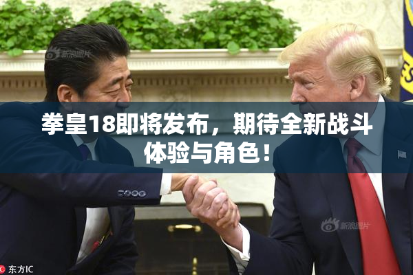 拳皇18即将发布，期待全新战斗体验与角色！