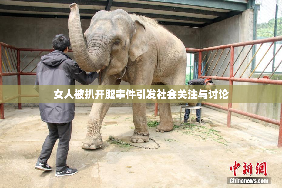 女人被扒开腿事件引发社会关注与讨论