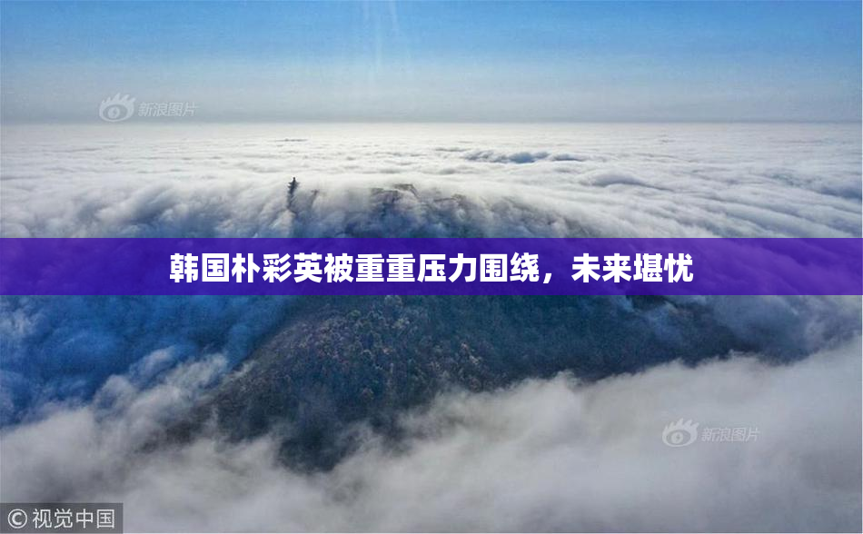 韩国朴彩英被重重压力围绕，未来堪忧