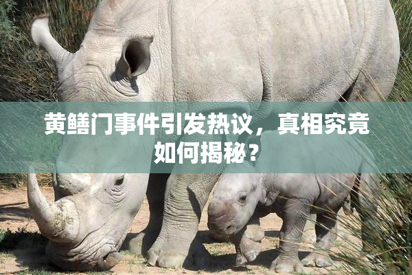 黄鳝门事件引发热议，真相究竟如何揭秘？
