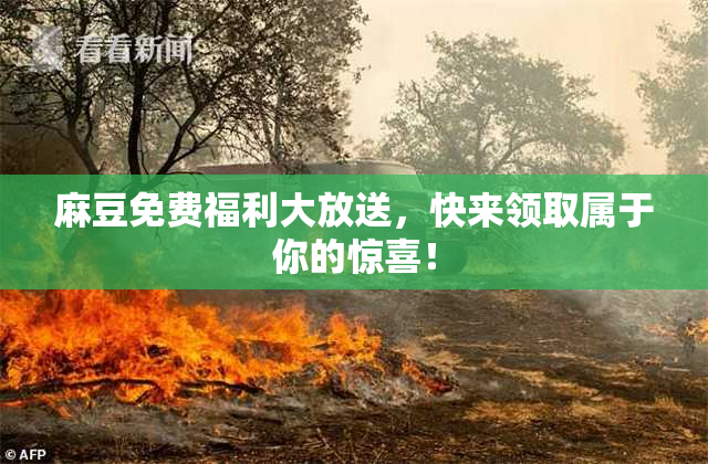 麻豆免费福利大放送，快来领取属于你的惊喜！