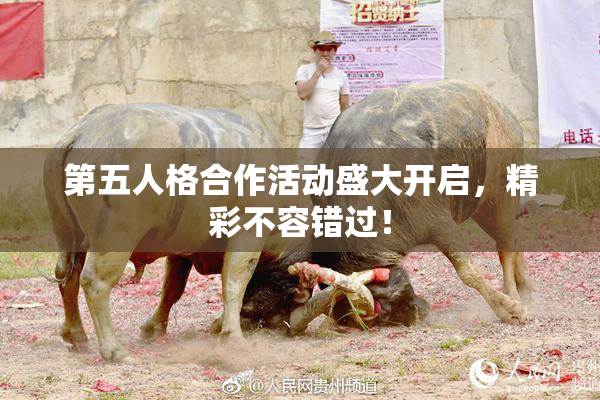 第五人格合作活动盛大开启，精彩不容错过！