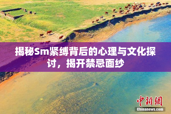揭秘Sm紧缚背后的心理与文化探讨，揭开禁忌面纱