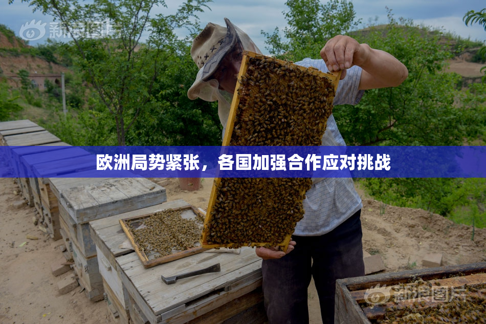 欧洲局势紧张，各国加强合作应对挑战