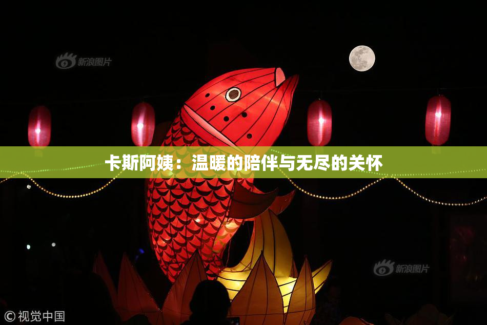 卡斯阿姨：温暖的陪伴与无尽的关怀