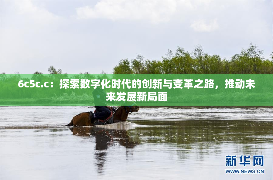 6c5c.c：探索数字化时代的创新与变革之路，推动未来发展新局面