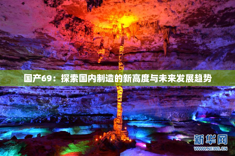 国产69：探索国内制造的新高度与未来发展趋势
