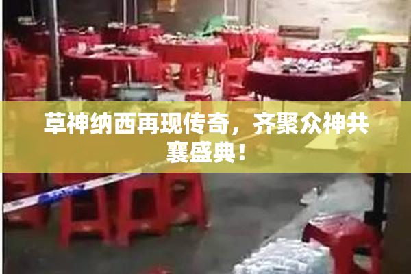 草神纳西再现传奇，齐聚众神共襄盛典！