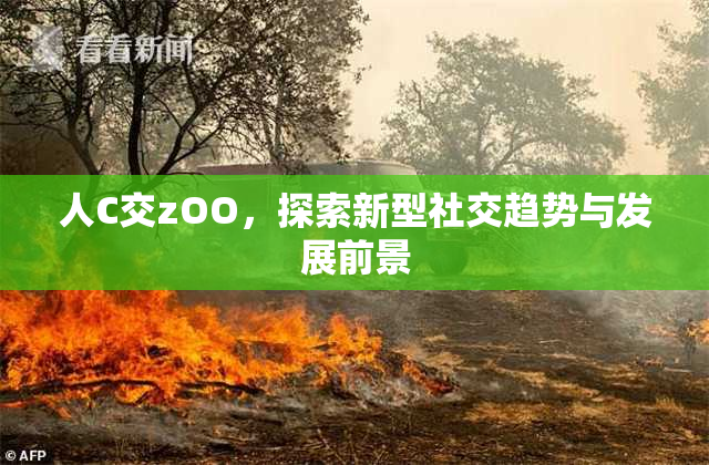 人C交zOO，探索新型社交趋势与发展前景