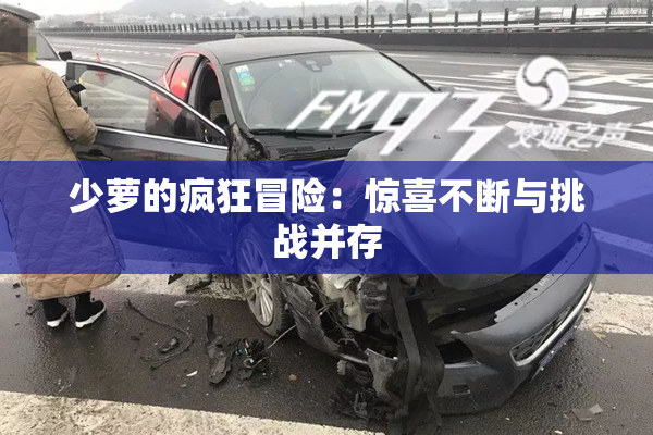 少萝的疯狂冒险：惊喜不断与挑战并存