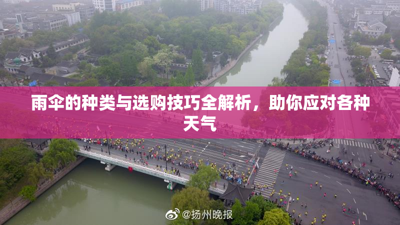 雨伞的种类与选购技巧全解析，助你应对各种天气