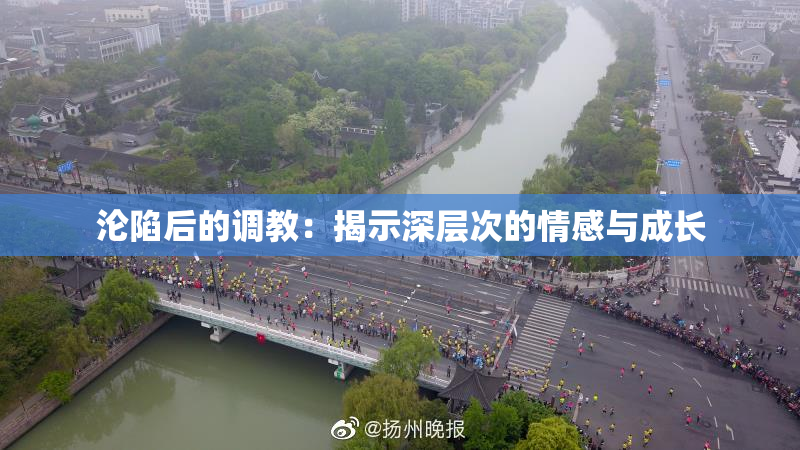 沦陷后的调教：揭示深层次的情感与成长