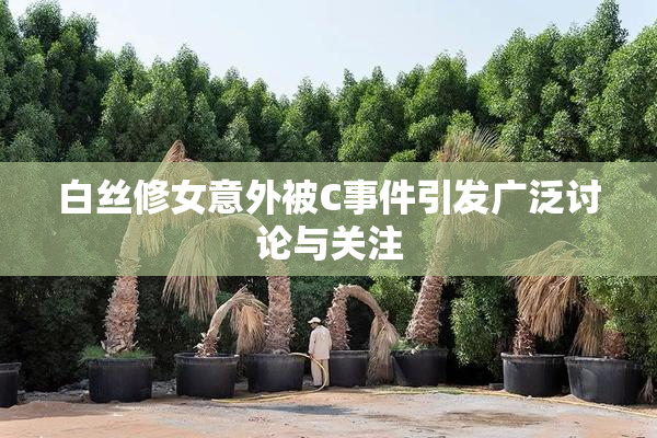 白丝修女意外被C事件引发广泛讨论与关注