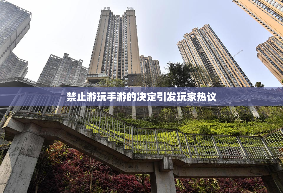 禁止游玩手游的决定引发玩家热议