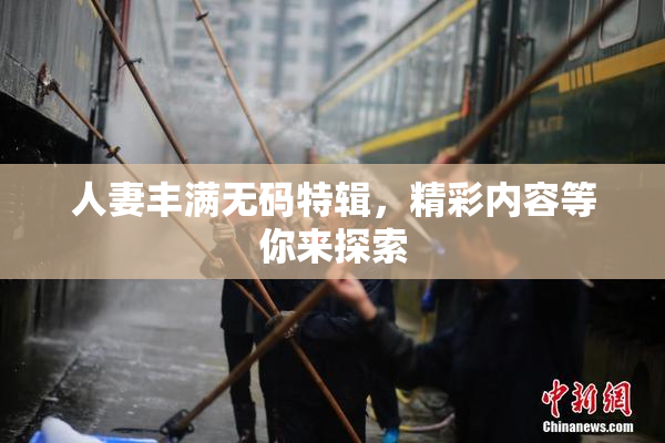 人妻丰满无码特辑，精彩内容等你来探索